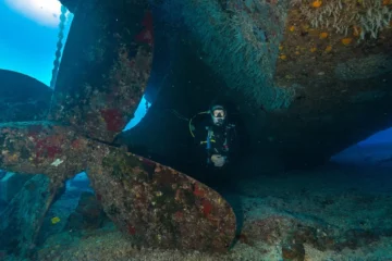 Wreck & Reef Tour Honolulu, OahuWreck & Reef Tour · from $231Scuba Diving, Wrecks & Vibrant Coral Reefs