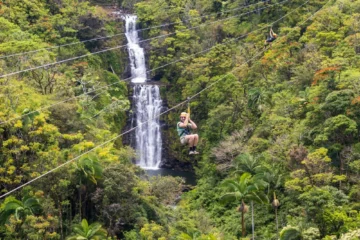 Hakalau, Big IslandZip Line at Botanical World · from $227Approximately 2.5 Hours