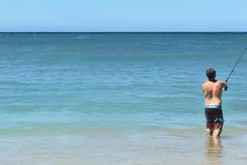 2, 3, 4, 5, 6, 7, 8 Hour Custom Tour Lahaina, MauiCustom Shoreline Fishing · from $400Traditional Hawaiian Fishing & Reef Fish