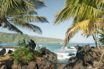 MauiRoad to Hana Deluxe Tour · from $219Rainforest, Waterfalls & Black Sand Beach