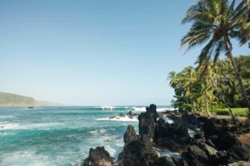 Kahului, MauiRoad to Hana Tour from Oahu · from $599.99Airfare, Rainforest & Waterfalls