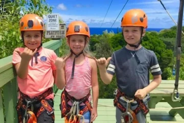 Haiku, MauiJungle Zipline Tour · from $1395 Ziplines & 85-Foot Suspension Bridge