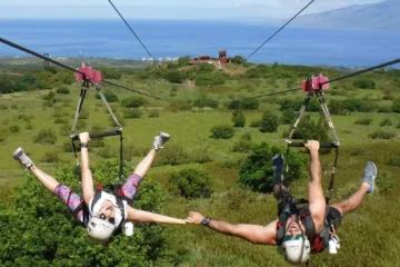 Lahaina, Maui6-Line Zipline Tour · from $2406 Ziplines, ATV Ride & 360° Suspension Bridge