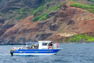 Hanalei, KauaiNa Pali Winter Sightseeing Cruise · from $269Sea Caves, Waterfalls & Wildlife