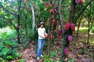 Chocolate Tour & Tasting Anahola, KauaiChocolate Farm Tour & Tasting 路 from $9920+ Hawaiian Chocolates & Farming