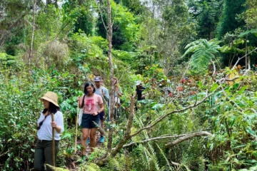 Cloud Forest Tour - Montane Jungle Trail (2.5 hrs) Kailua-Kona, Big IslandKona Cloud Forest Tour 路 from $120Guided Jungle Trails & Rare Tropical Plants