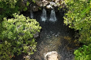 Dip in the Waterfall Adventure Hakalau, Big IslandDip in the Waterfall Adventure · from $57Easy Hike & Private Waterfall Dip