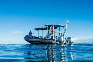 Dolphin Warrior Private Charters Honolulu, OahuDolphin Warrior Private Charter ยท from $1,500Private Ocean Safari & Snorkeling