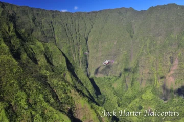 Doors-Off Heart of the Island Kauai Tour Lihue, KauaiDoors-Off Heart of the Island · from $191Doors-Off Flight & Waialeale Crater