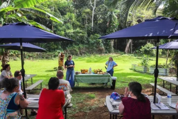 Holualoa, Big IslandExotic Fruit Tasting Tour · from $84.99Tropical Fruit Sampling