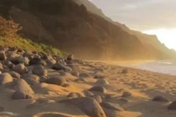 Full-Day Kauaʻi Adventure KauaiFull-Day Kauaʻi Adventure · from $980Na Pali, Waimea Canyon & Kauai Hiking