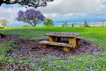 Haleakala & Upcountry Kihei, HawaiiHaleakala & Upcountry Tour ยท from $1,335Volcanic Summit & Farms
