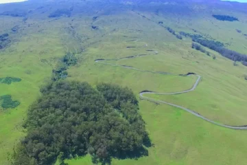 Paia, MauiHaleakala Bike & Brew Tour · from $13413-Mile Downhill Ride & Upcountry Tasting
