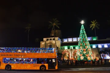 Holiday Lights 2026 Honolulu, OahuHoliday Lights 2026 路 from $39.50Double-Decker Bus