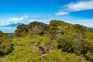 Honolua Ridgeline Hike- A Conservation Experience Lahaina, MauiHonolua Ridgeline Hike · from $4992-Mile Hike & Pu'u Kukui Views