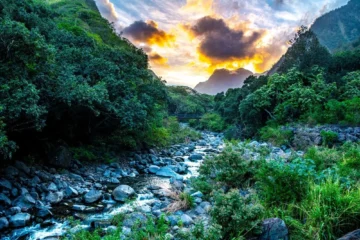 Iao Valley Hike Makawao, MauiIao Valley Hike · from $540Iao Valley Photography & Scenic Walk
