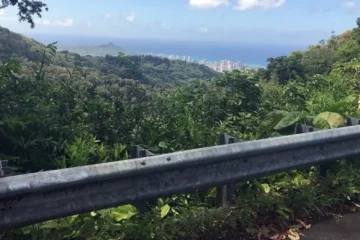 Jungle Hike Honolulu, OahuJungle Hike · from $250Manoa Falls & Kalawahine Trail