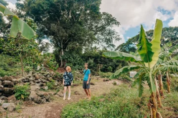 Kailua E-bike Kau Kau Adventure - Guided Scenic and Food Tour - Half Day Kailua, OahuKailua E-Bike Food Tour 路 from $189Scenic Coastal Ride & Hawaiian Culture