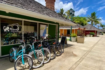 Kapaʻa, KauaiKauai Bike Explorer · from $29Kapaʻa Coastal Bike Path