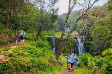 Kohala Waterfalls Adventure Kailua-Kona, Big IslandKohala Waterfalls Adventure · from $255Waterfalls, Valleys & Sea Cliffs