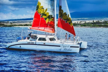 Kona Tradewind Day Sail Kailua-Kona, Big IslandKona Tradewind Day Sail · from $79.95Tradewinds, Coastal Views & Premium Bar