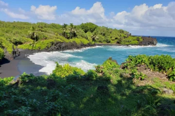 Hana, MauiLuxury Full-Circle Road to Hana · from $299.99Flower Farm Lunch & Scenic Rainforest