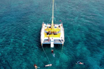 Manu Kai Snorkel, Swim & Sail (Harbor) Honolulu, OahuManu Kai Snorkel, Swim & Sail · from $60Turtles, Hawaiian Fish & Complimentary Drinks