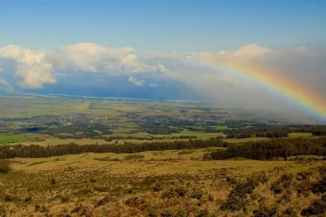 Maui Farm Tours Kahului, MauiMaui Farm Tours 路 from $675Private Farm Visits & Local Tastings