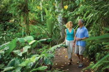 McBryde Garden Self Guided Koloa, KauaiMcBryde Garden Self Guided · from $3550 Acres & Biodiversity Trail