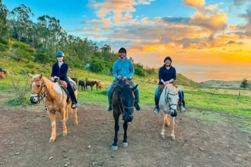 Mountain Vista - Sunset Group Horseback Ride Kapolei, OahuMountain Vista Sunset Horseback 路 from $158Wai驶anae Mountains & Coastal Views