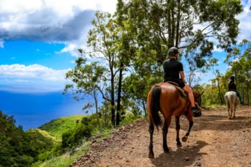 Mountain Vista - Sunshine Group Horseback Ride Kapolei, Oahu Sunshine Group Horseback Ride 路 from $138Wai驶anae Mountains & Coastal Views