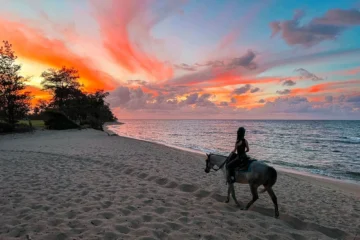Oceanfront Sunset Group Horseback Ride North Shore, OahuOceanfront Sunset Horseback Ride 路 from $168Guided Beach Ride & Sunset Views
