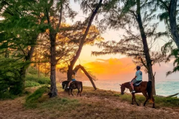 Oceanfront Sunset Private Ride North Shore, OahuPrivate Sunset Horseback Ride 路 from $396Private Guide & Oceanfront Views