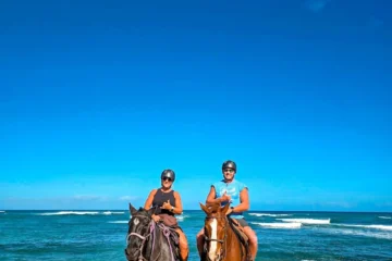 Oceanfront Sunshine Private Ride North Shore, OahuPrivate Sunshine Horseback Ride 路 from $336Oceanfront Views & Private Guide