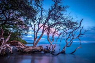 Olowalu Lahaina, MauiOlowalu Coastal Photography Tour · from $540Sunset Coast Hike & Ancient Ruins