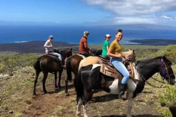 Open Range Semi- Private Two Hour Tour Kula, MauiOpen Range Semi-Private Cattle 路 from $200Ranch Ride, Hawaiian History & Scenic Views
