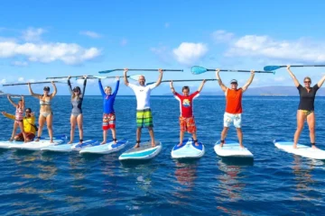 Makena, MauiPaddleboard 101 Excel · from $159Beginner SUP Lesson & Ocean Wildlife