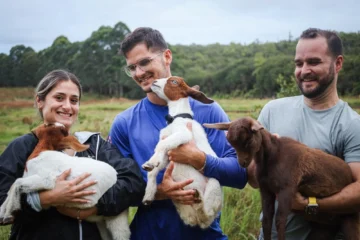 Mountain View, Big IslandBaby Goat Petting & Cuddle · from $29Feed, Pet & Cuddle Baby Goats