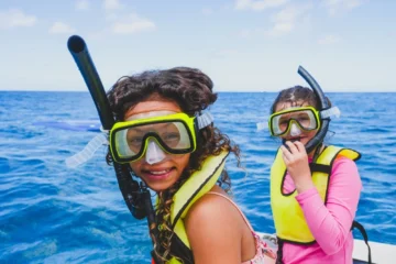 Premium Waikiki Turtle Snorkel Sail with Lunch Honolulu, OahuWaikiki Turtle Snorkel Sail · from $149.95Turtle Canyon, Lunch & Complimentary Drinks
