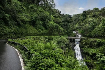 Wailuku, MauiPride of America Road to Hana · from $293.99600+ Curves, Waterfalls & Hawaiian Scenery