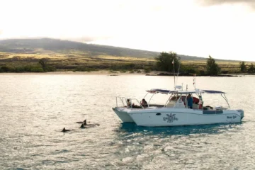 Private Charter Honu Lele Kailua-Kona, Big IslandPrivate Charter Honu Lele ยท from $1,695Snorkeling & Scuba Diving