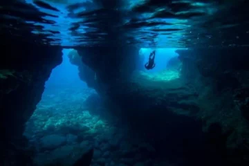 Private Manta Ray Night Adventure Kailua-Kona, Big IslandPrivate Manta Ray Tour ยท from $1,500Night Snorkeling & Manta Rays