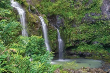 MauiRoad to Hana Adventure Tour · from $249Waterfalls & Farm-to-Table Lunch