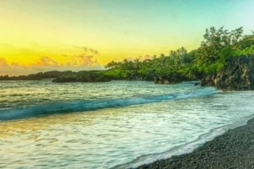Wailuku, MauiRoad to Hana Tour · from $293.99Waterfalls, Scenic Stops & Buffet Lunch