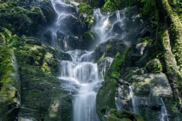 Haiku, MauiRoad to Hana Farm-to-Table Tour · from $225Waterfalls & Farm-Fresh Lunch