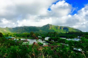Secret Falls Tour Kapaʻa, KauaiSecret Falls Tour · from $136.74Wailua River Kayak & 120-Foot Waterfall Hike