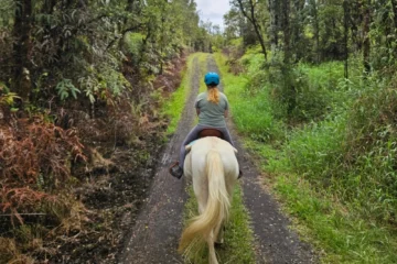 Small Group Guided Rainforest Trail Ride & Ranch Tour P膩hoa, Big IslandRainforest Horseback Ride 路 from $130Rainforest Trail Ride & Animal Encounters