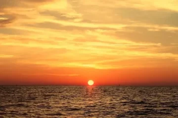 Sunset Safari Cruise Haleiwa, OahuSunset Safari Cruise ยท from $400North Shore Sunset & Marine Life
