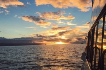 Sunset Whale Watch Sail • Maalaea Ma'alaea, MauiSunset Whale Watch Sail · from $149.95Humpback Whales & Premium Appetizers