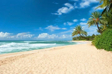 Tour of North Shore & Waimea Waterfall and Pali Lookout Honolulu, OahuNorth Shore & Waimea Waterfall 路 from $144Waimea Falls & Waikiki Hotel Pickup